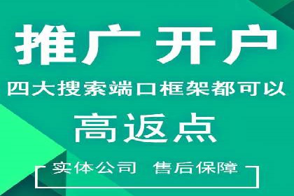 信息流广告代理市场案例分析